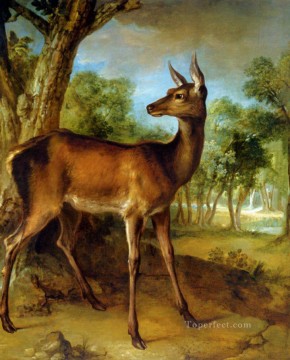動物 Painting - 用心深い雌鹿
